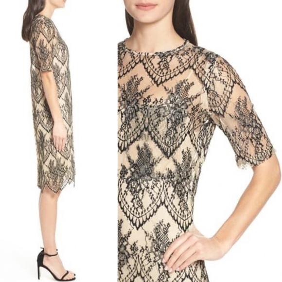 NWT CAARA Scalloped Lace‎ Shift Dress Black Tan S - Picture 2 of 3